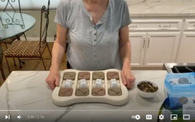 Engaging Your Dog with Food Puzzles