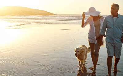 Best Beaches for Dogs in Los Angeles